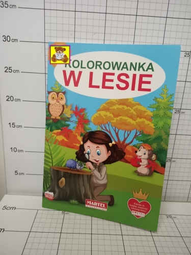 KOLOROWANKA W LESIE KK9788364859519     PKWIU 49030000