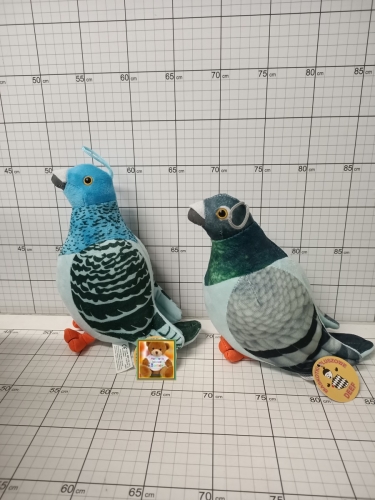 DEE GOŁĘBIE OP-6,CENA ZA 1 SZT!!!       5901500241991