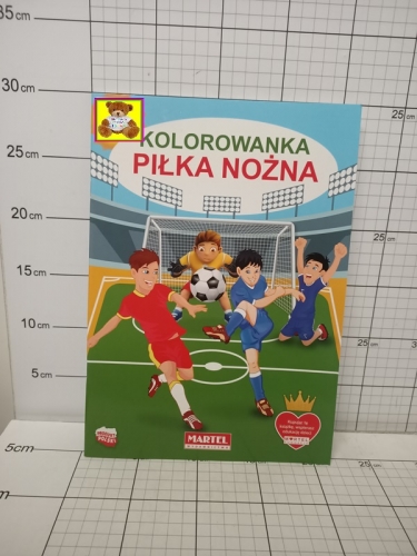 KOLOROWANKA PIŁKA NOŻNA KK9788365944627 PKWIU 49030000