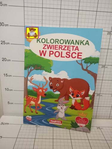 KOLOROWANKA ZWIERZĘTA W POLSCE          PKWIU49030000,9788366753730
