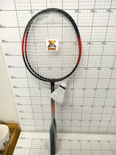 BADMINTON 5902496205516