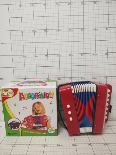 AKORDEON INSTRUMENT 5904204754392