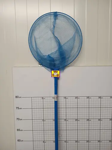 SIATKA NA MOTYLE,RYBKI 90CM             5900949407715