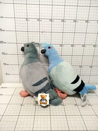 SUN GOŁĄB 2 KOL.22CM OP-12,             CENA ZA 1 SZT!!! 5904073175571