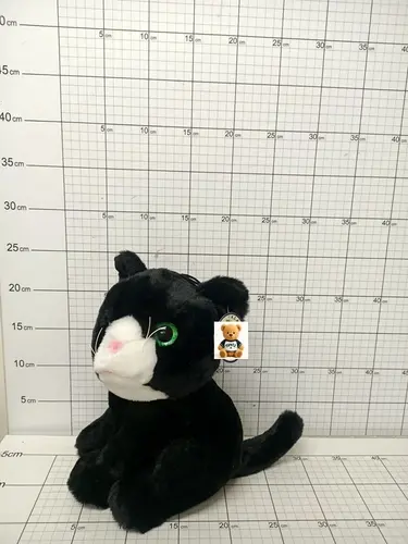 SUN KOT 3 KOL.25CM GŁOS 5904073170750