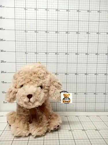 SUN PIES 2 KOL.25CM 5904073175120