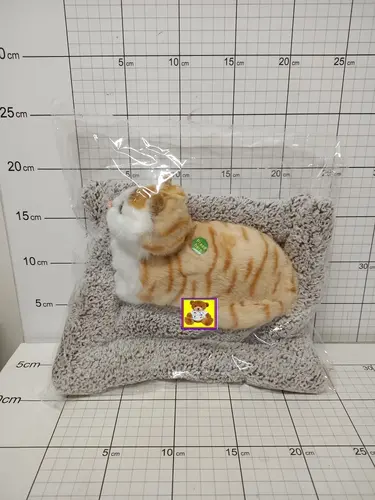 ZWIERZĄTKO NA PODUSZCE (DŹWIĘK)         5900949480688