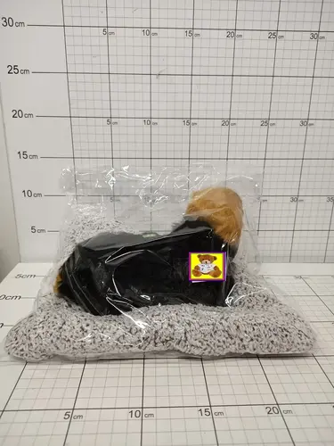 ZWIERZĄTKO NA PODUSZCE (DŹWIĘK)         5900949480695