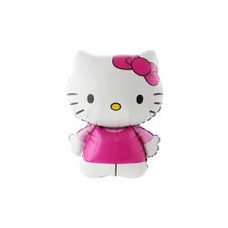 HELLO KITTY LICENCJA